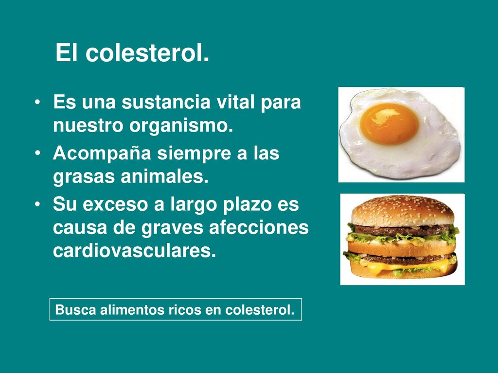 El colesterol. Es una sustancia vital para nuestro organismo.