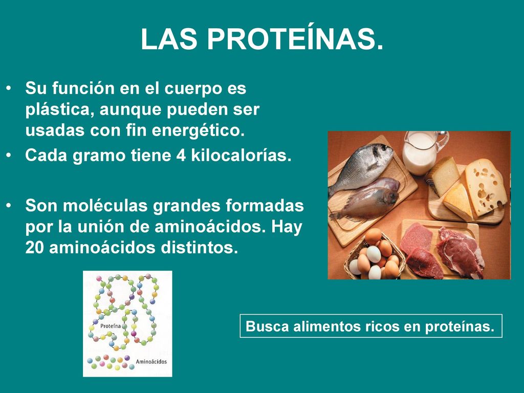 LAS PROTEÍNAS. Su función en el cuerpo es plástica, aunque pueden ser usadas con fin energético. Cada gramo tiene 4 kilocalorías.
