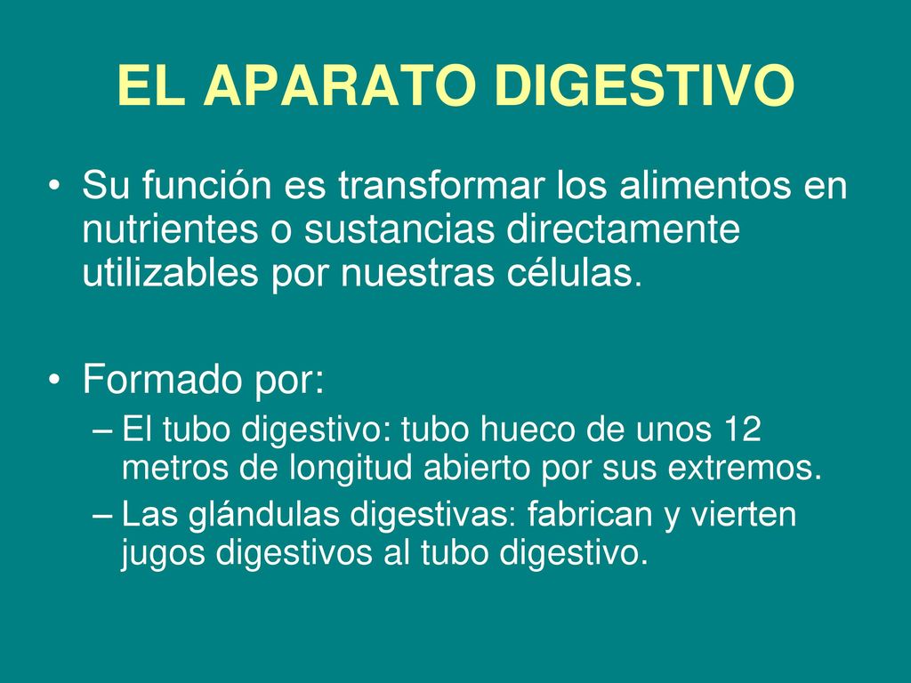 EL APARATO DIGESTIVO Su función es transformar los alimentos en nutrientes o sustancias directamente utilizables por nuestras células.