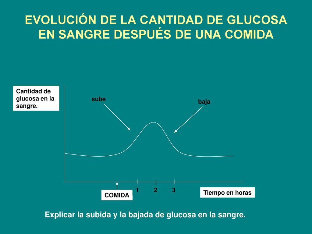 EVOLUCIÓN DE LA CANTIDAD DE GLUCOSA EN SANGRE DESPUÉS DE UNA COMIDA