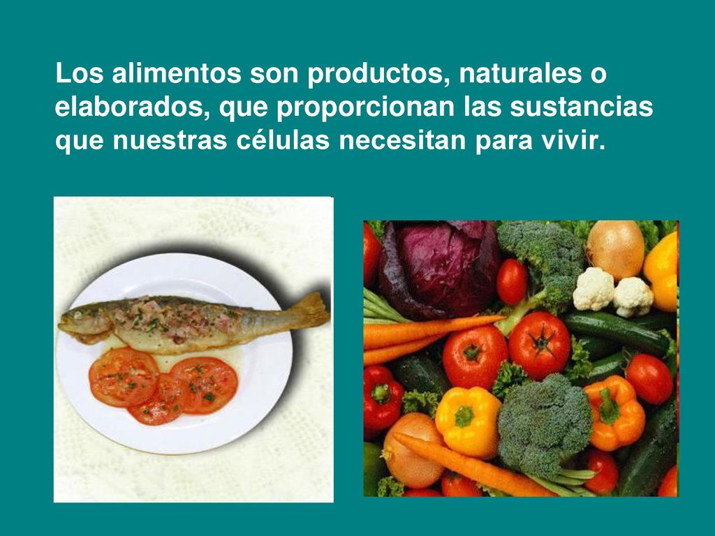 Los alimentos son productos, naturales o elaborados, que proporcionan las sustancias que nuestras células necesitan para vivir.
