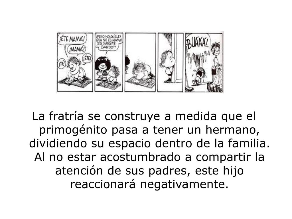 La fratría se construye a medida que el primogénito pasa a tener un hermano, dividiendo su espacio dentro de la familia.