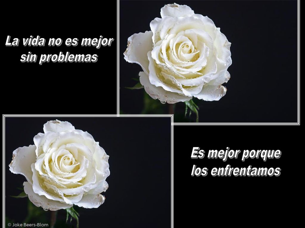 La vida no es mejor sin problemas Es mejor porque los enfrentamos