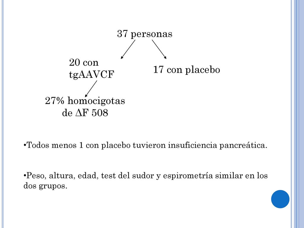 37 personas 20 con tgAAVCF 17 con placebo 27% homocigotas de ΔF 508