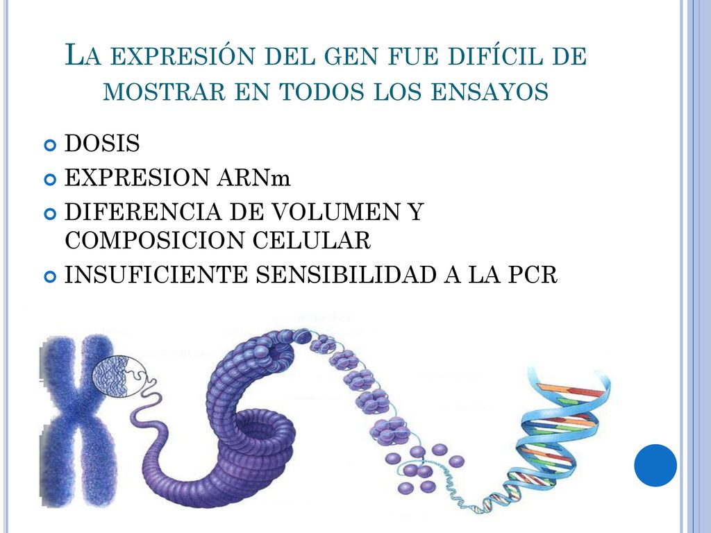 La expresión del gen fue difícil de mostrar en todos los ensayos