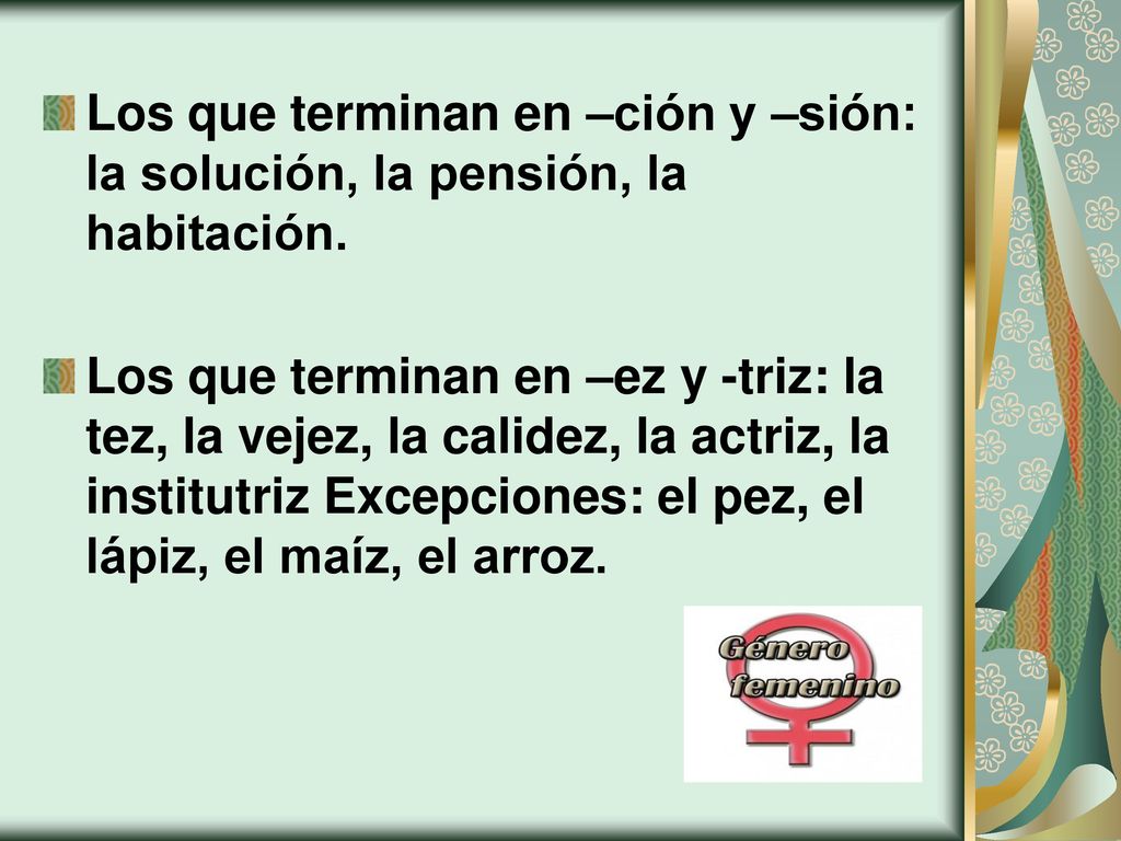 Los que terminan en –ción y –sión: la solución, la pensión, la habitación.