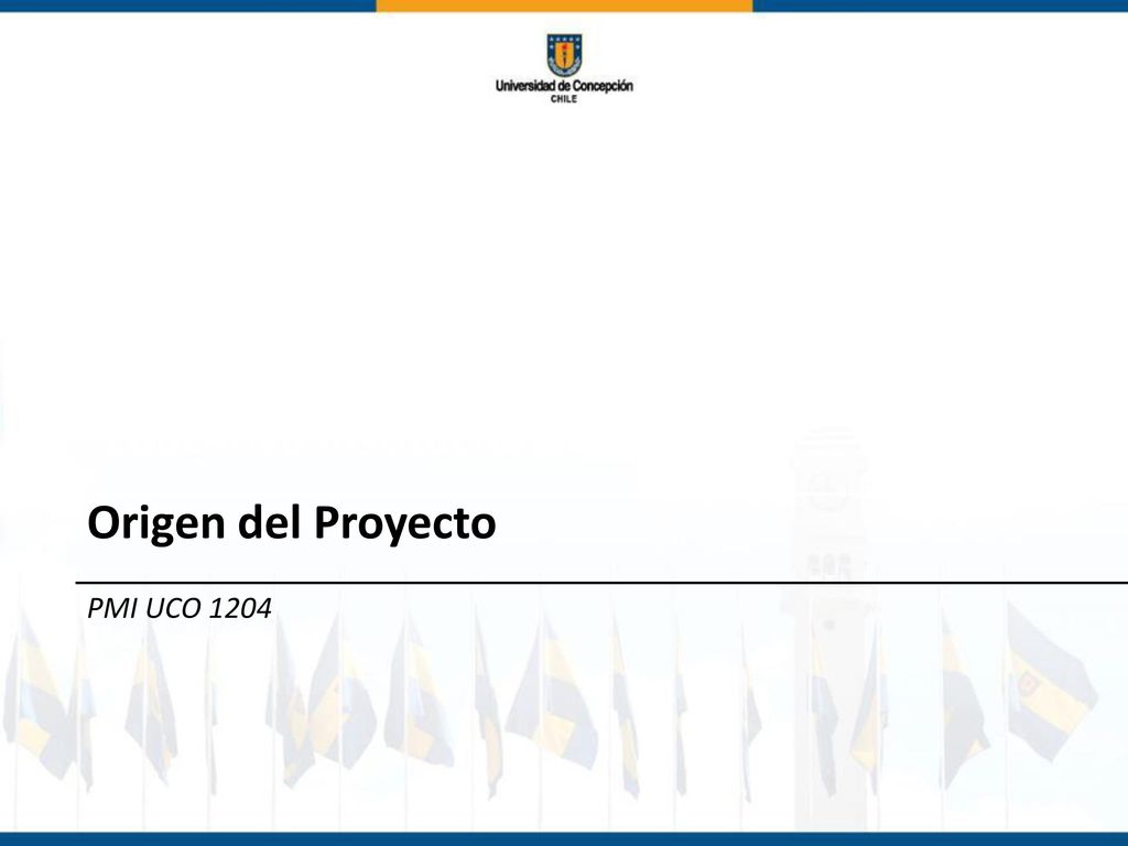 Armonización Curricular en la Universidad de Concepción: Gestión Efectiva del Modelo Educativo Institucional