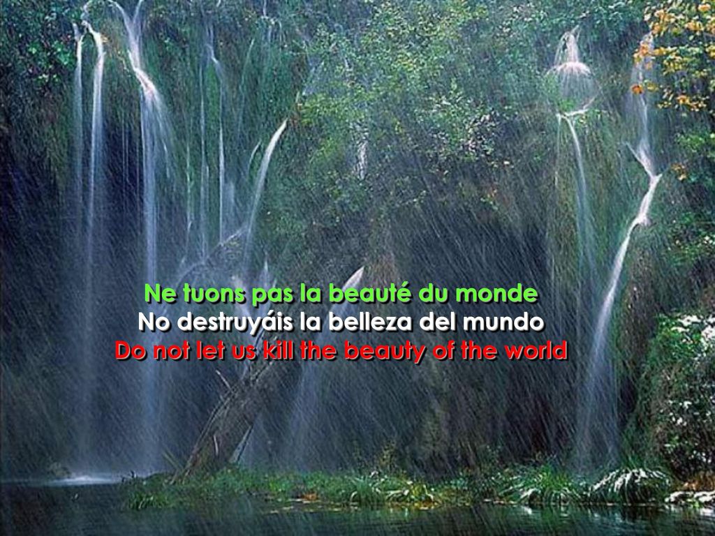 Ne tuons pas la beauté du monde No destruyáis la belleza del mundo