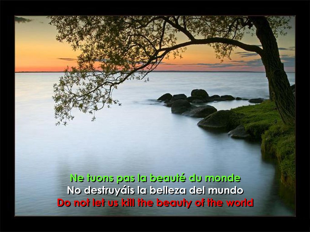 Ne tuons pas la beauté du monde No destruyáis la belleza del mundo