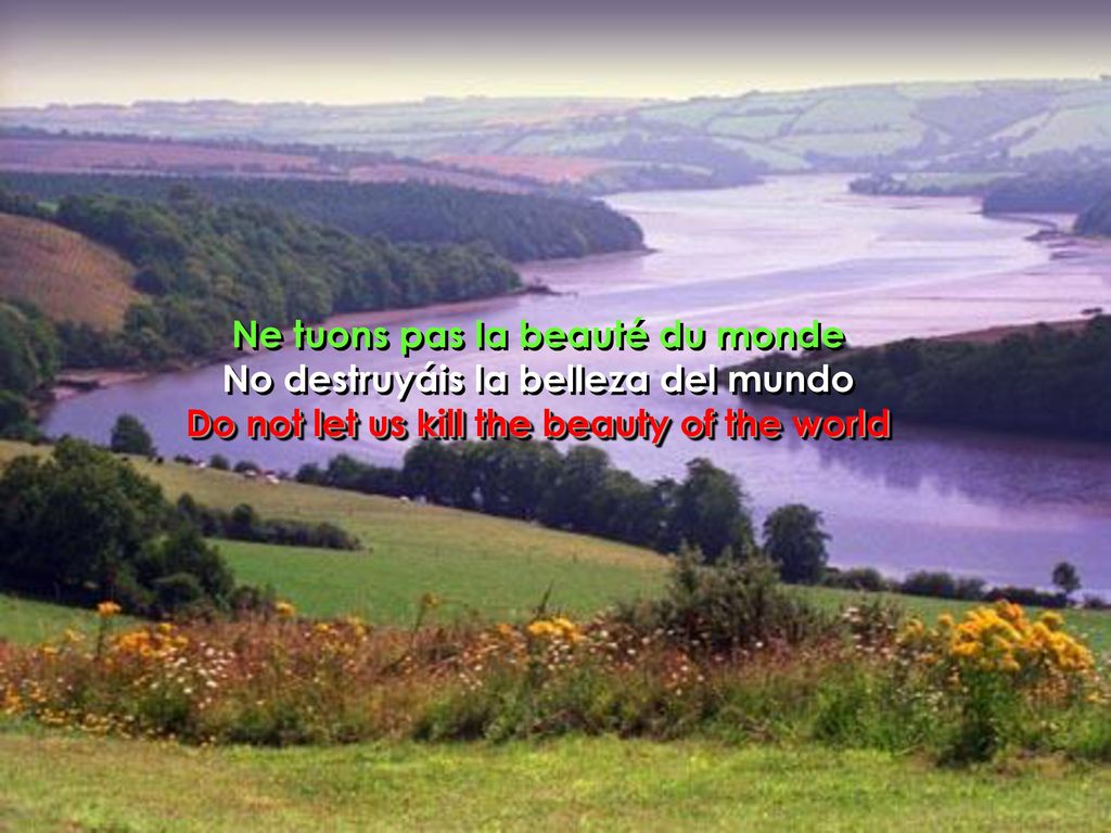 Ne tuons pas la beauté du monde No destruyáis la belleza del mundo