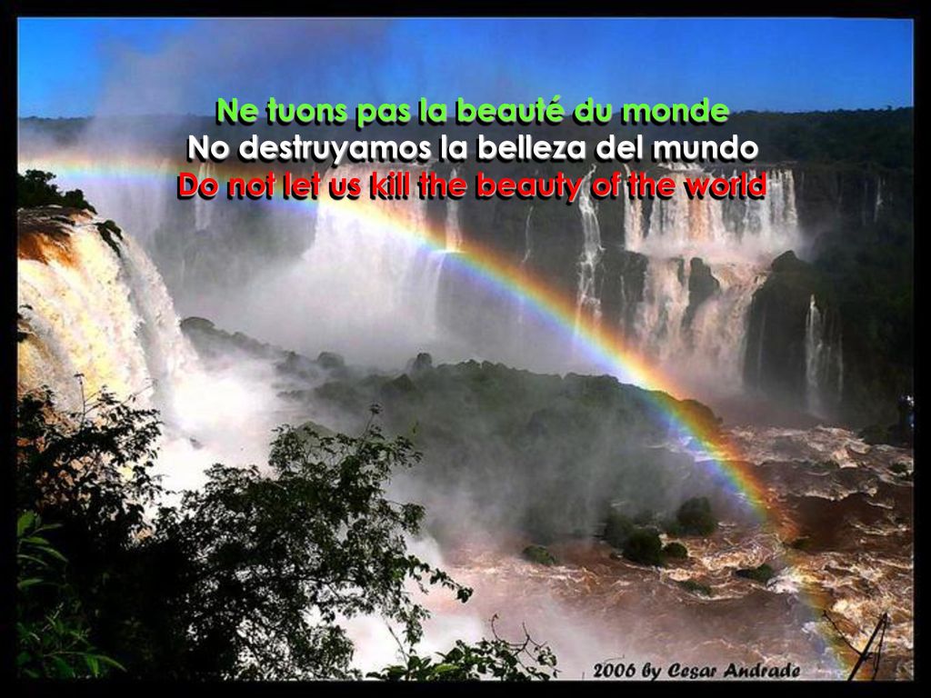 Ne tuons pas la beauté du monde No destruyamos la belleza del mundo