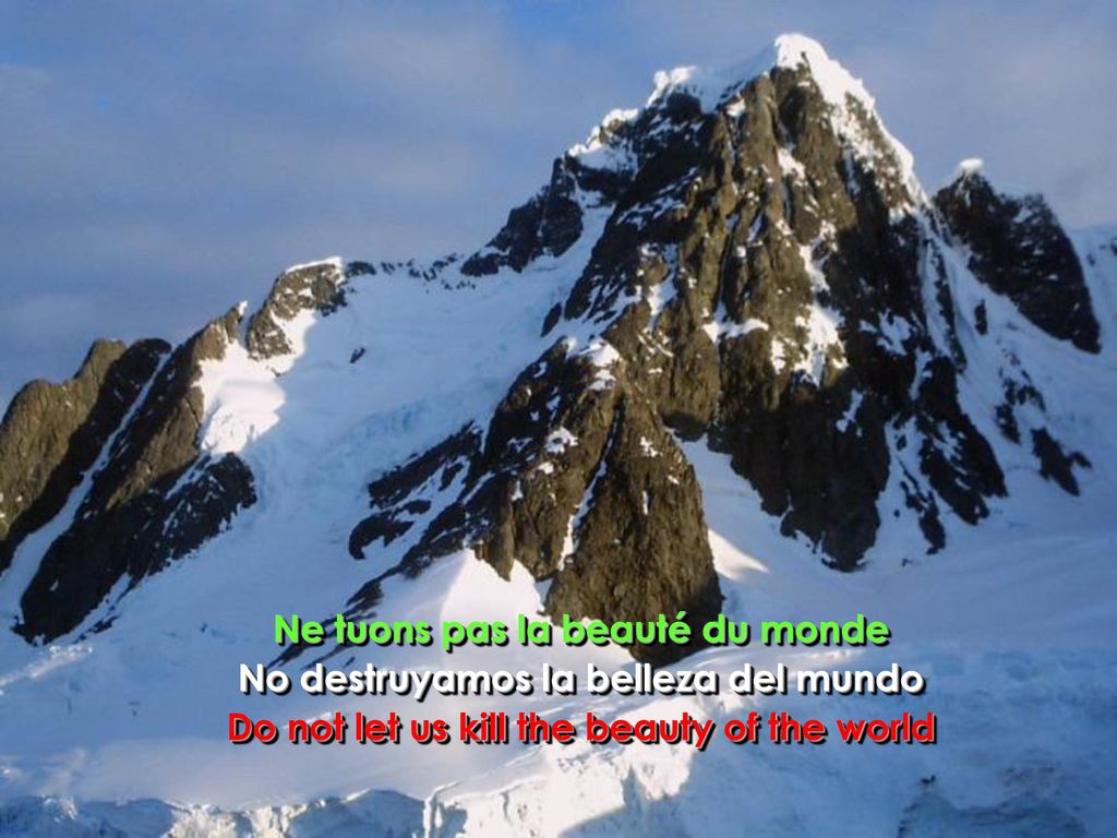 Ne tuons pas la beauté du monde No destruyamos la belleza del mundo
