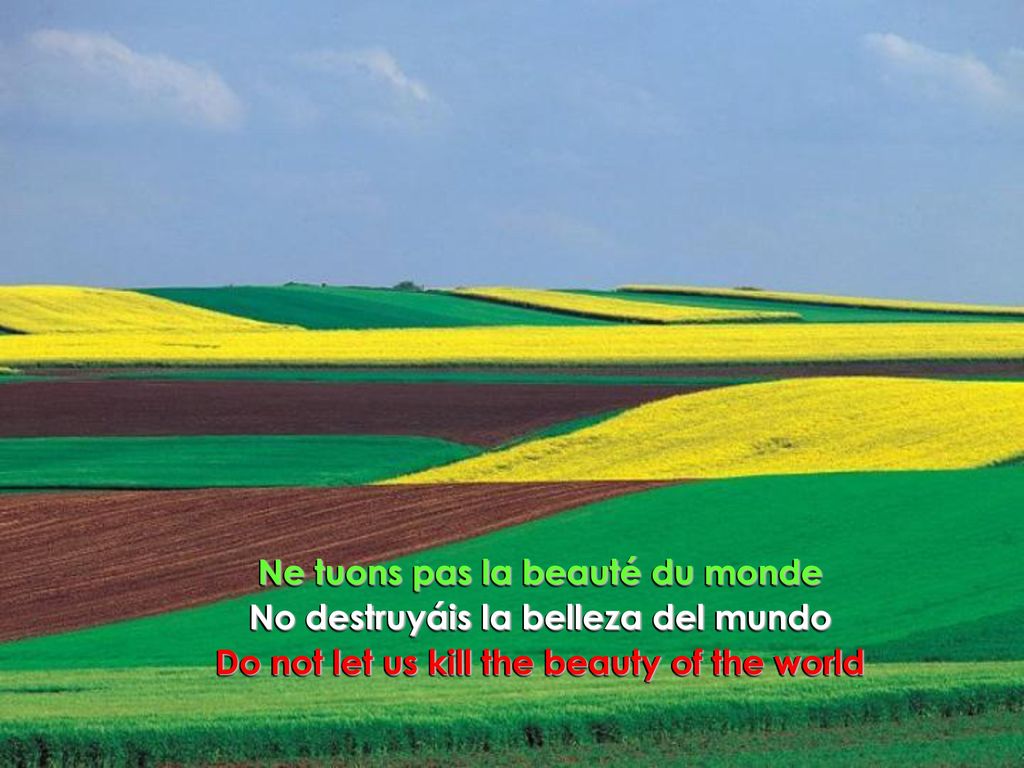 Ne tuons pas la beauté du monde No destruyáis la belleza del mundo