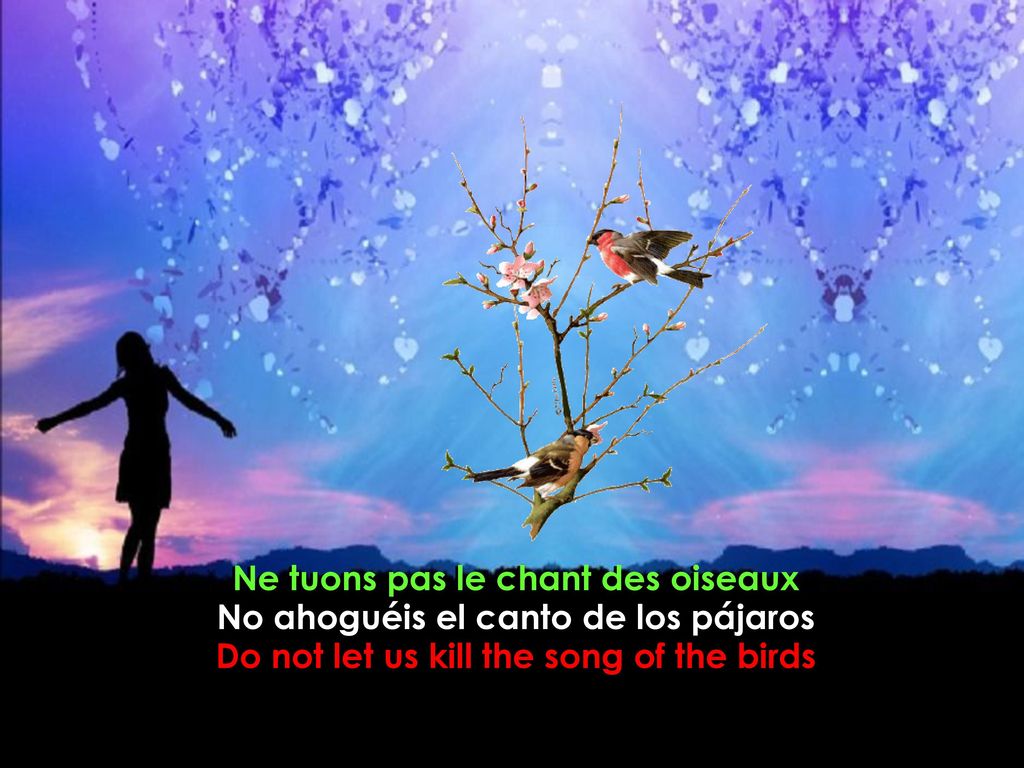 Ne tuons pas le chant des oiseaux No ahoguéis el canto de los pájaros