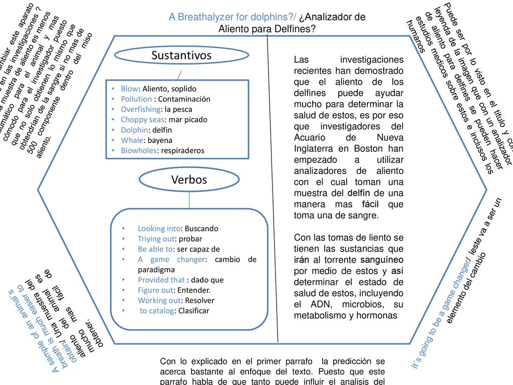 A Breathalyzer for dolphins / ¿Analizador de Aliento para Delfines