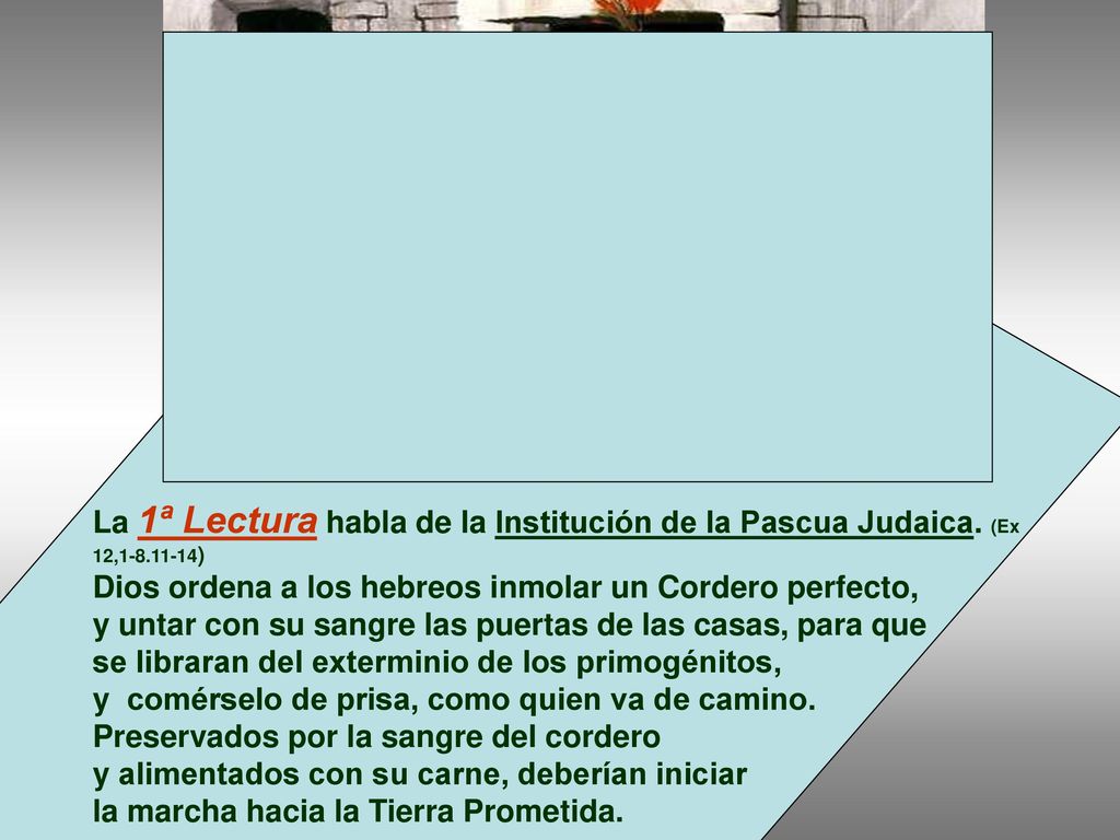 La 1ª Lectura habla de la Institución de la Pascua Judaica. (Ex 12,1-8