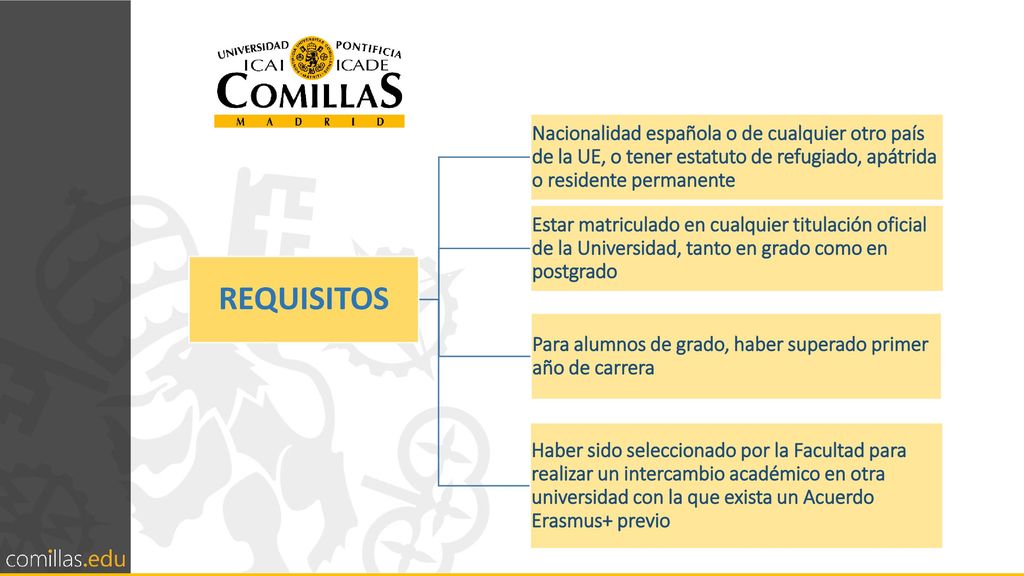 REQUISITOS Nacionalidad española o de cualquier otro país de la UE, o tener estatuto de refugiado, apátrida o residente permanente.