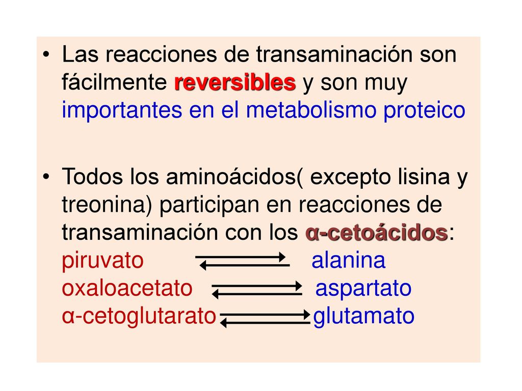 Las reacciones de transaminación son fácilmente reversibles y son muy importantes en el metabolismo proteico