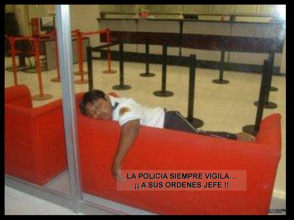 LA POLICIA SIEMPRE VIGILA… ¡¡ A SUS ORDENES JEFE !!