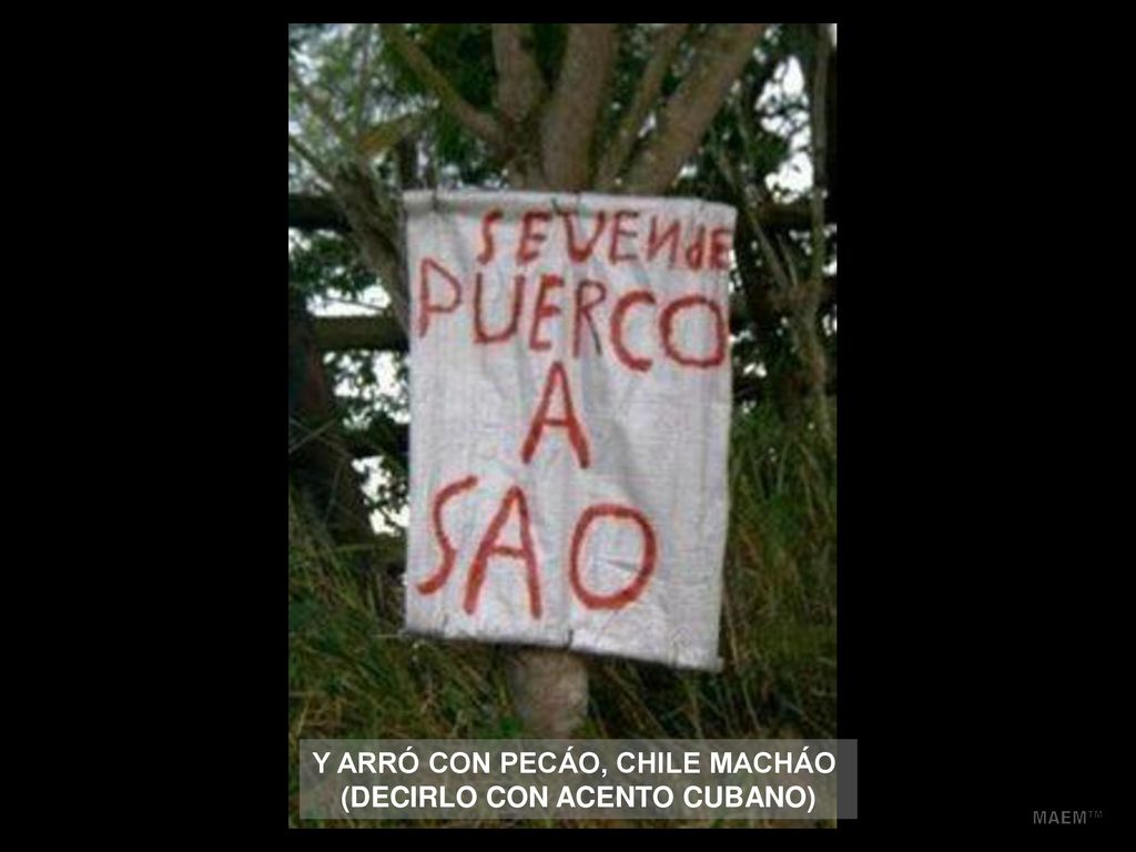 Y ARRÓ CON PECÁO, CHILE MACHÁO (DECIRLO CON ACENTO CUBANO)