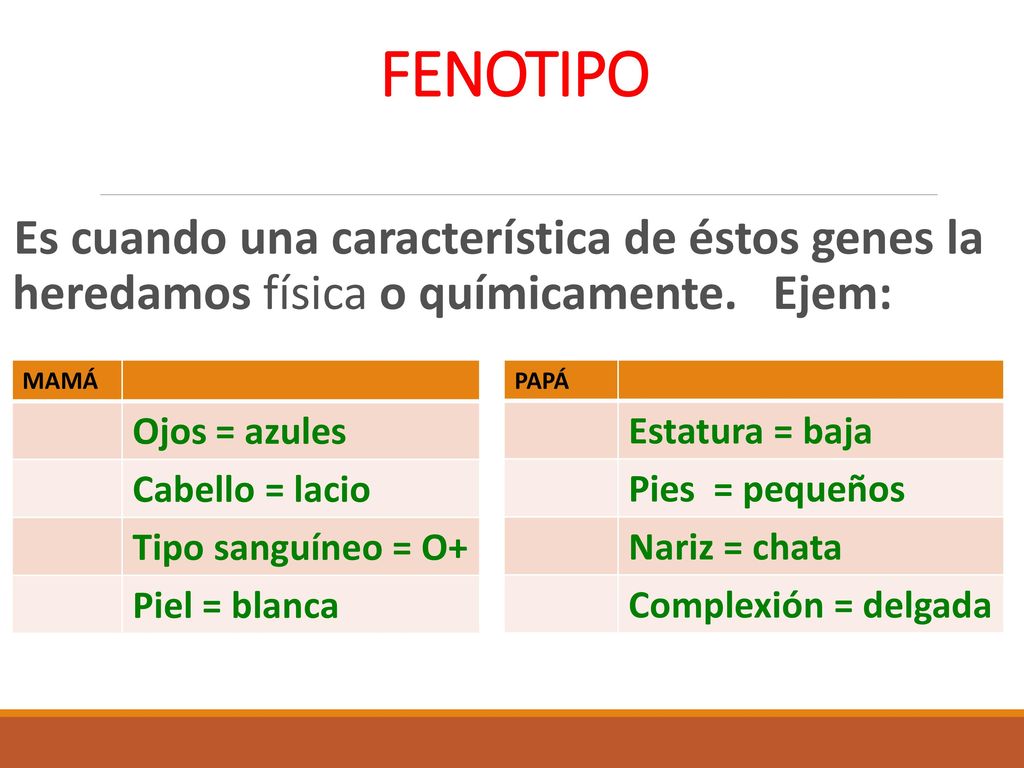 FENOTIPO Es cuando una característica de éstos genes la heredamos física o químicamente. Ejem: MAMÁ.