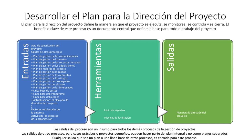 Desarrollar el Plan para la Dirección del Proyecto El plan para la dirección del proyecto define la manera en que el proyecto se ejecuta, se monitorea, se controla y se cierra. El beneficio clave de este proceso es un documento central que define la base para todo el trabajo del proyecto
