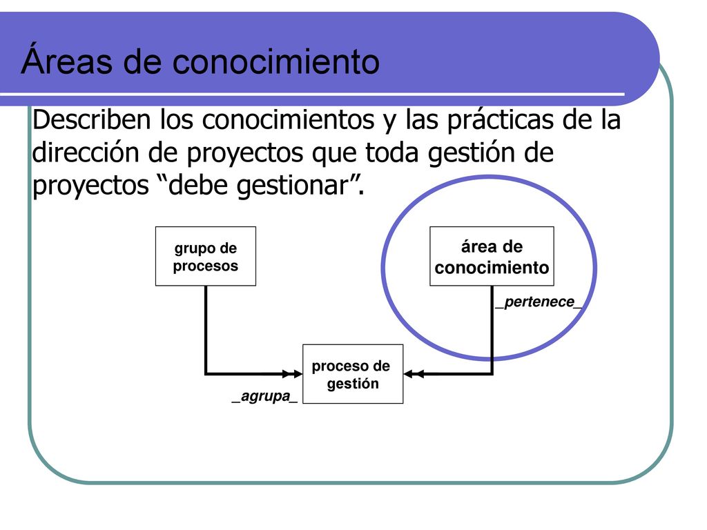 Áreas de conocimiento Describen los conocimientos y las prácticas de la dirección de proyectos que toda gestión de proyectos debe gestionar .