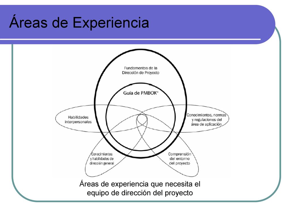 Áreas de experiencia que necesita el equipo de dirección del proyecto