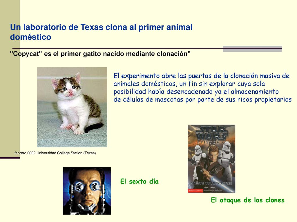 Un laboratorio de Texas clona al primer animal doméstico