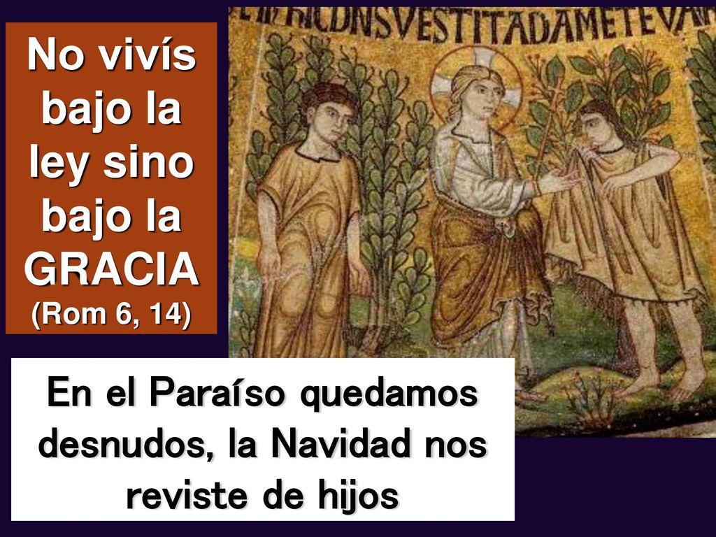No vivís bajo la ley sino bajo la GRACIA (Rom 6, 14)
