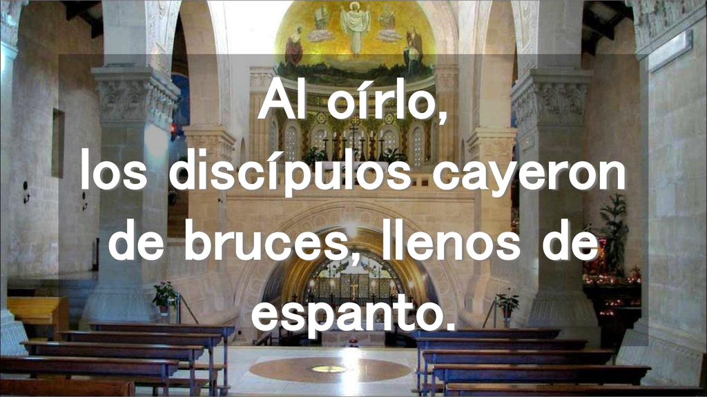 Al oírlo, los discípulos cayeron de bruces, llenos de espanto.