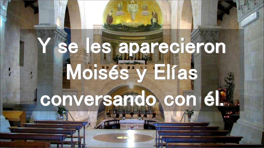 Y se les aparecieron Moisés y Elías conversando con él.