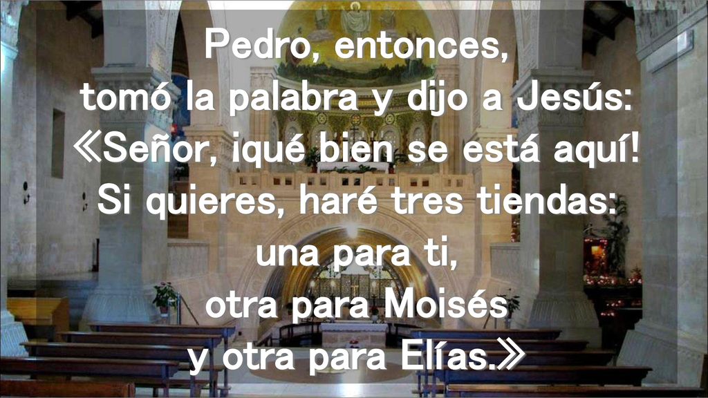 Pedro, entonces, tomó la palabra y dijo a Jesús: «Señor, ¡qué bien se está aquí.