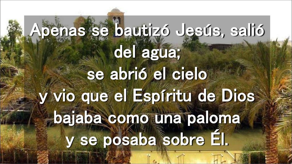 Apenas se bautizó Jesús, salió del agua; se abrió el cielo y vio que el Espíritu de Dios bajaba como una paloma y se posaba sobre Él.