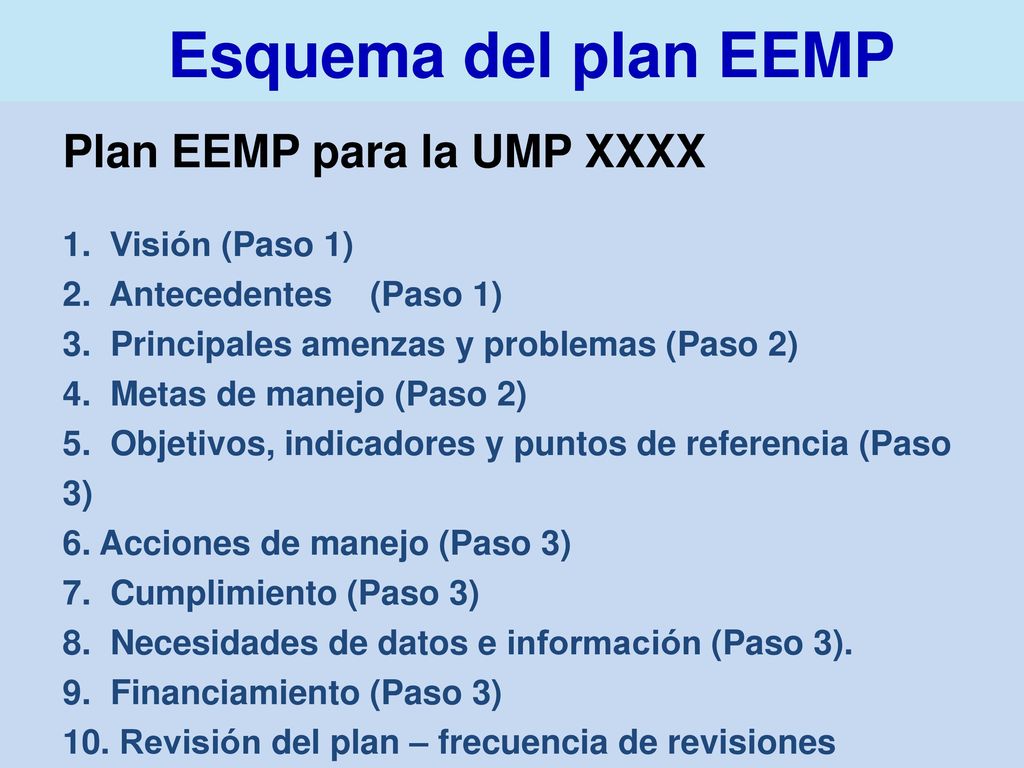 Esquema del plan EEMP Plan EEMP para la UMP XXXX 1. Visión (Paso 1)