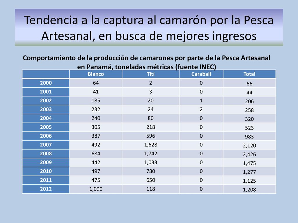 Tendencia a la captura al camarón por la Pesca Artesanal, en busca de mejores ingresos