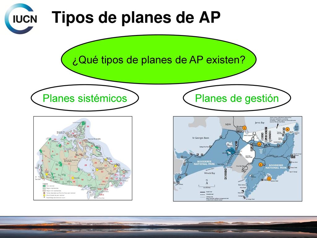 ¿Qué tipos de planes de AP existen
