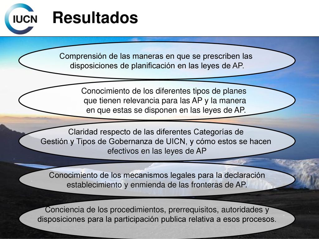 Resultados Comprensión de las maneras en que se prescriben las