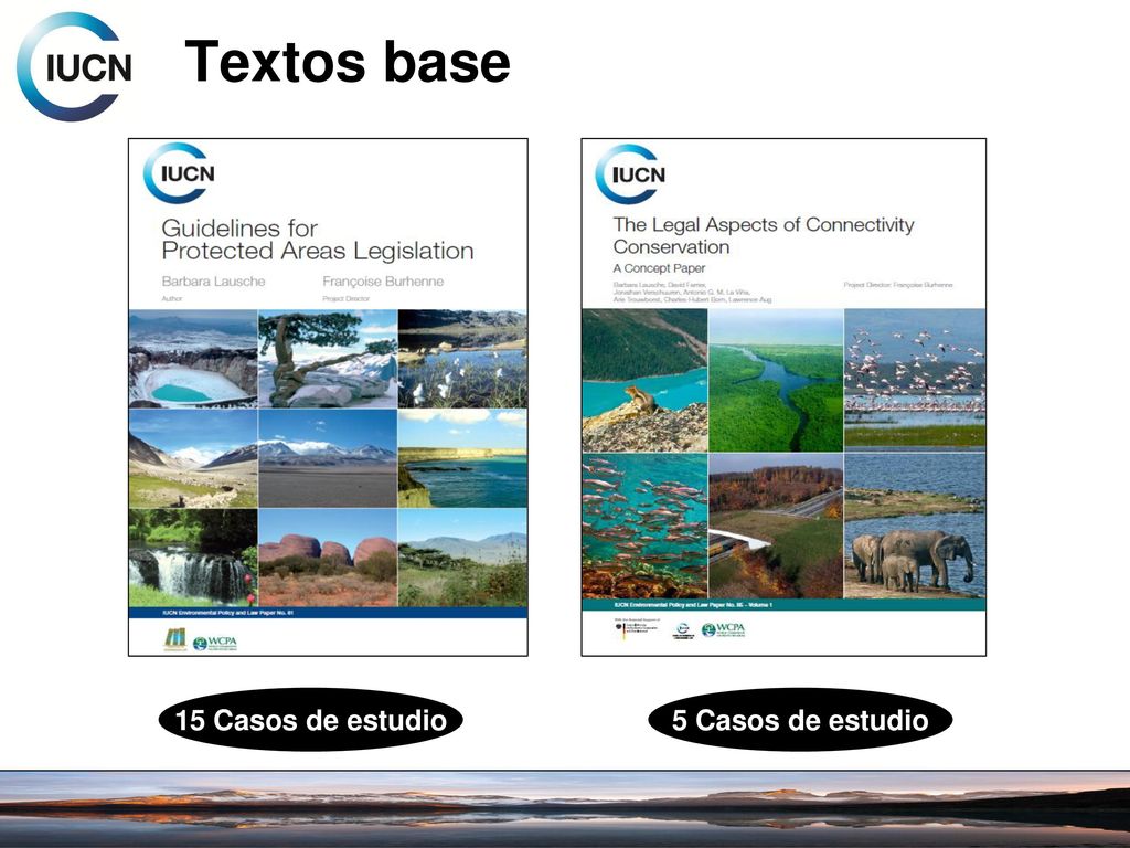 Textos base 15 Casos de estudio 5 Casos de estudio