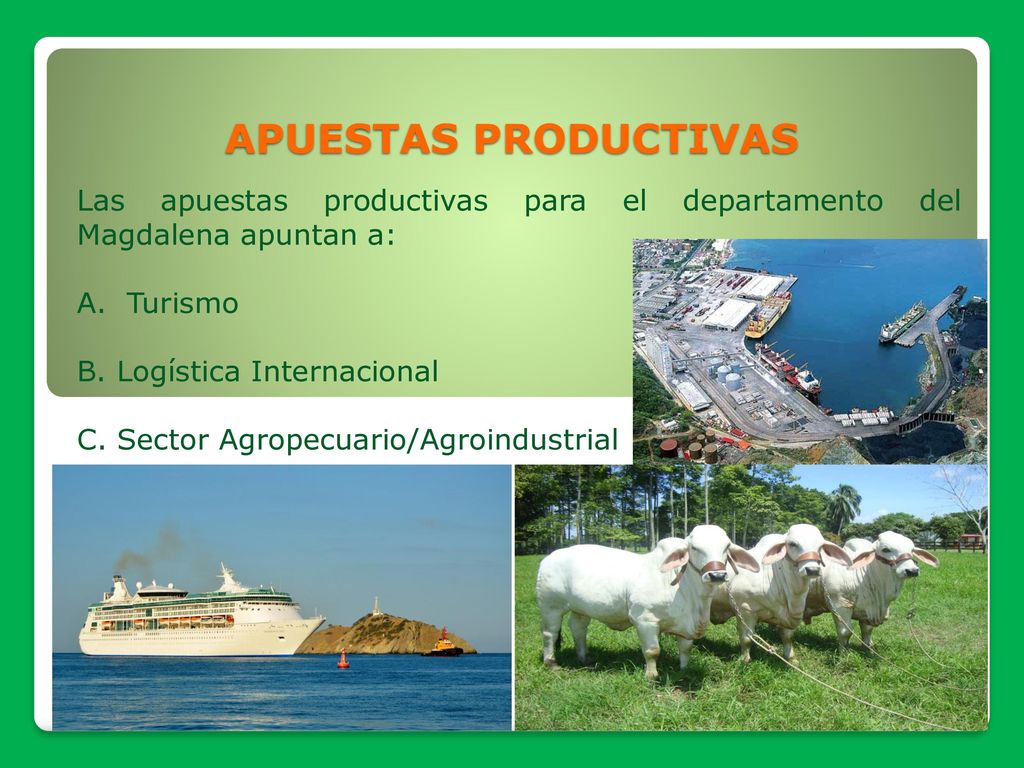 APUESTAS PRODUCTIVAS Las apuestas productivas para el departamento del Magdalena apuntan a: A. Turismo.
