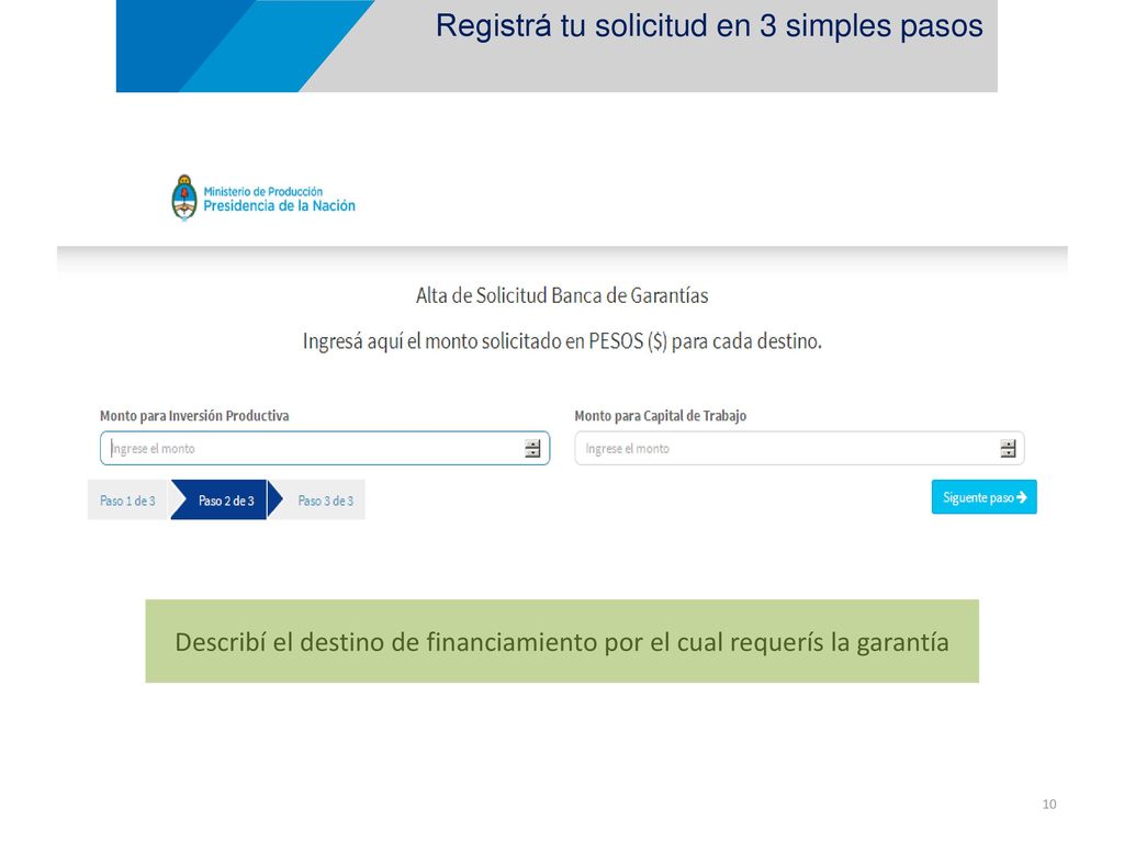 Describí el destino de financiamiento por el cual requerís la garantía
