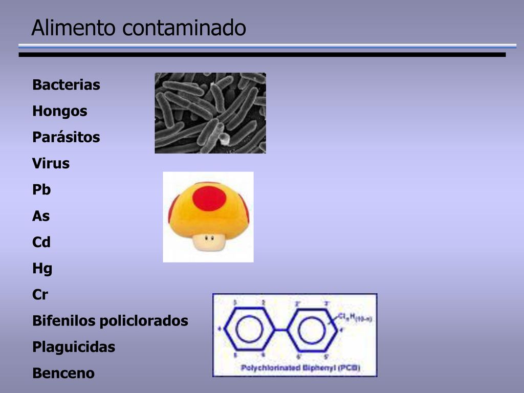 Alimento contaminado Bacterias Hongos Parásitos Virus Pb As Cd Hg Cr