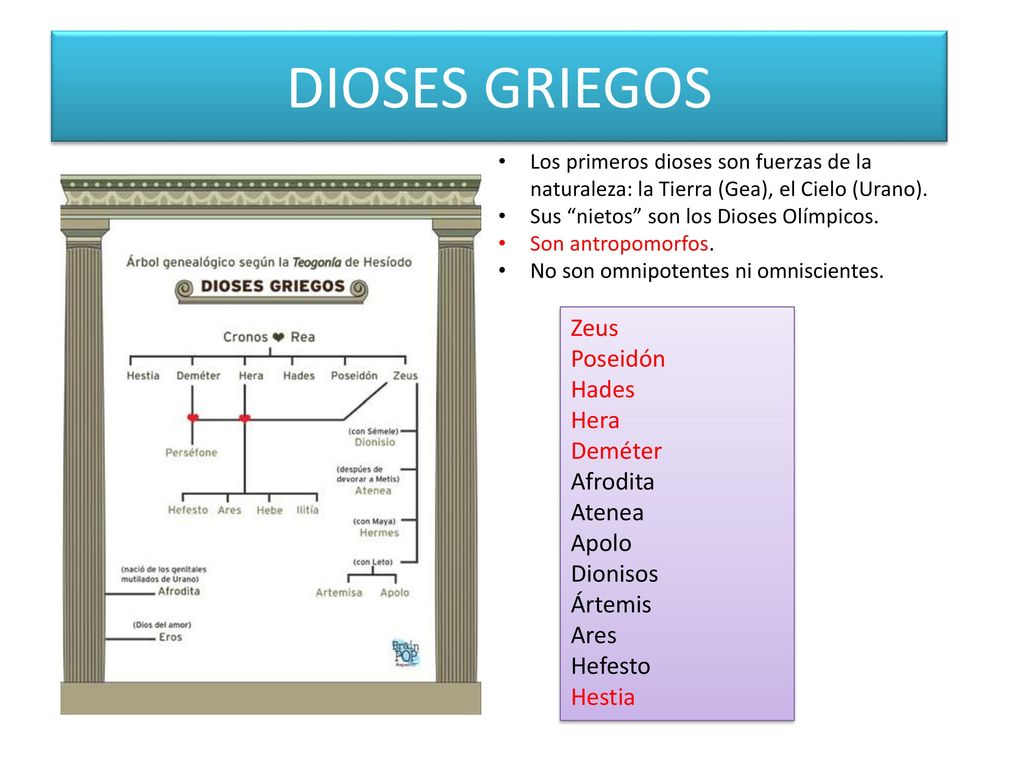DIOSES GRIEGOS Zeus Poseidón Hades Hera Deméter Afrodita Atenea Apolo