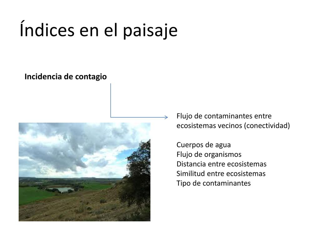 Índices en el paisaje Incidencia de contagio