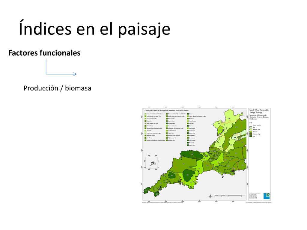 Índices en el paisaje Factores funcionales Producción / biomasa