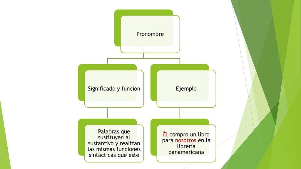 Él compró un libro para nosotros en la librería panamericana