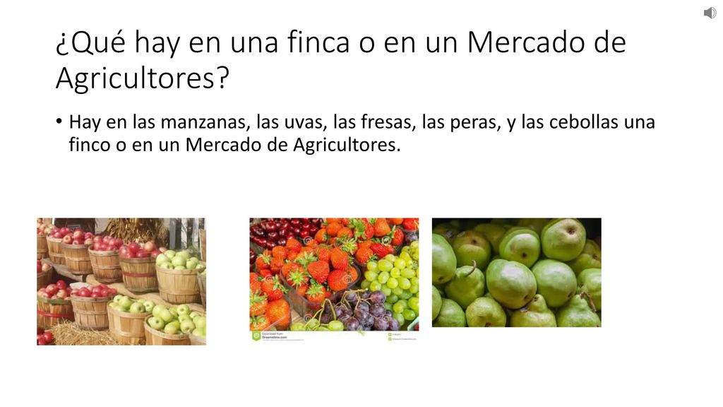 ¿Qué hay en una finca o en un Mercado de Agricultores