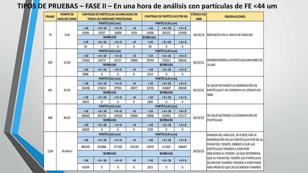 TIPOS DE PRUEBAS – FASE II – En una hora de análisis con partículas de FE <44 um