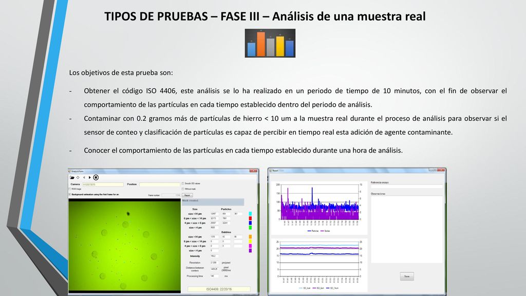 TIPOS DE PRUEBAS – FASE III – Análisis de una muestra real