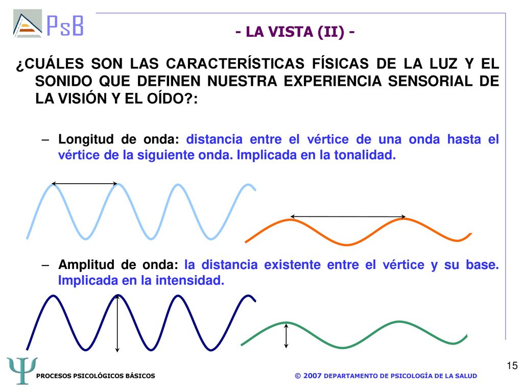 - LA VISTA (II) - ¿CUÁLES SON LAS CARACTERÍSTICAS FÍSICAS DE LA LUZ Y EL SONIDO QUE DEFINEN NUESTRA EXPERIENCIA SENSORIAL DE LA VISIÓN Y EL OÍDO :